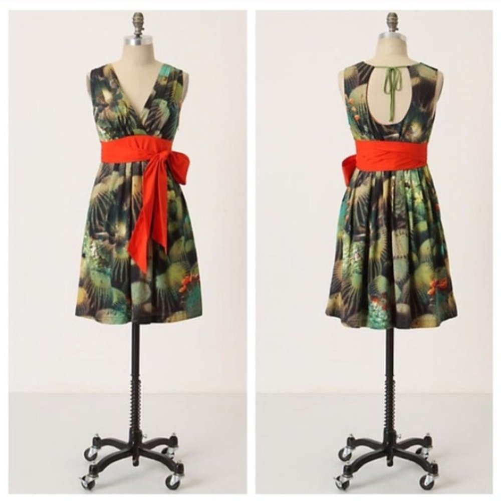 Anthro Eva Franco Oroya Cactus Cotton Dress